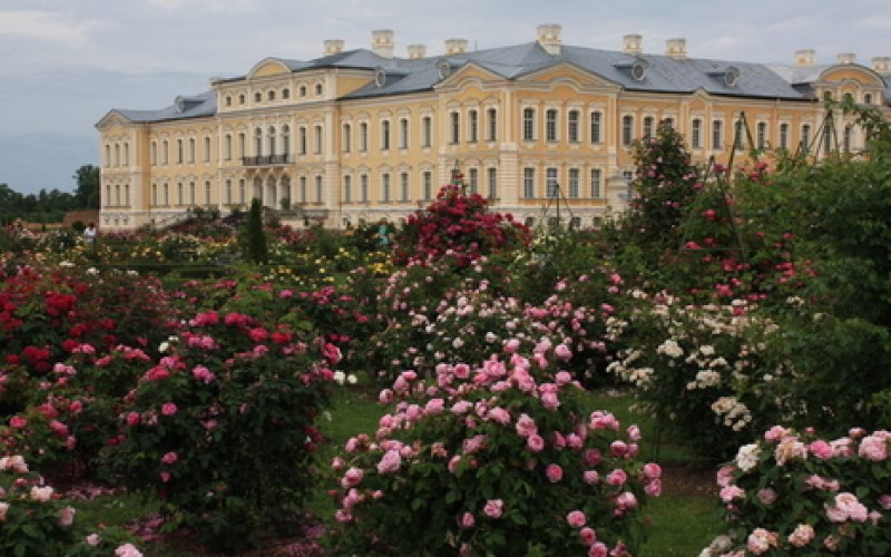 Rožių žiedų magija Latvijos dvaruose